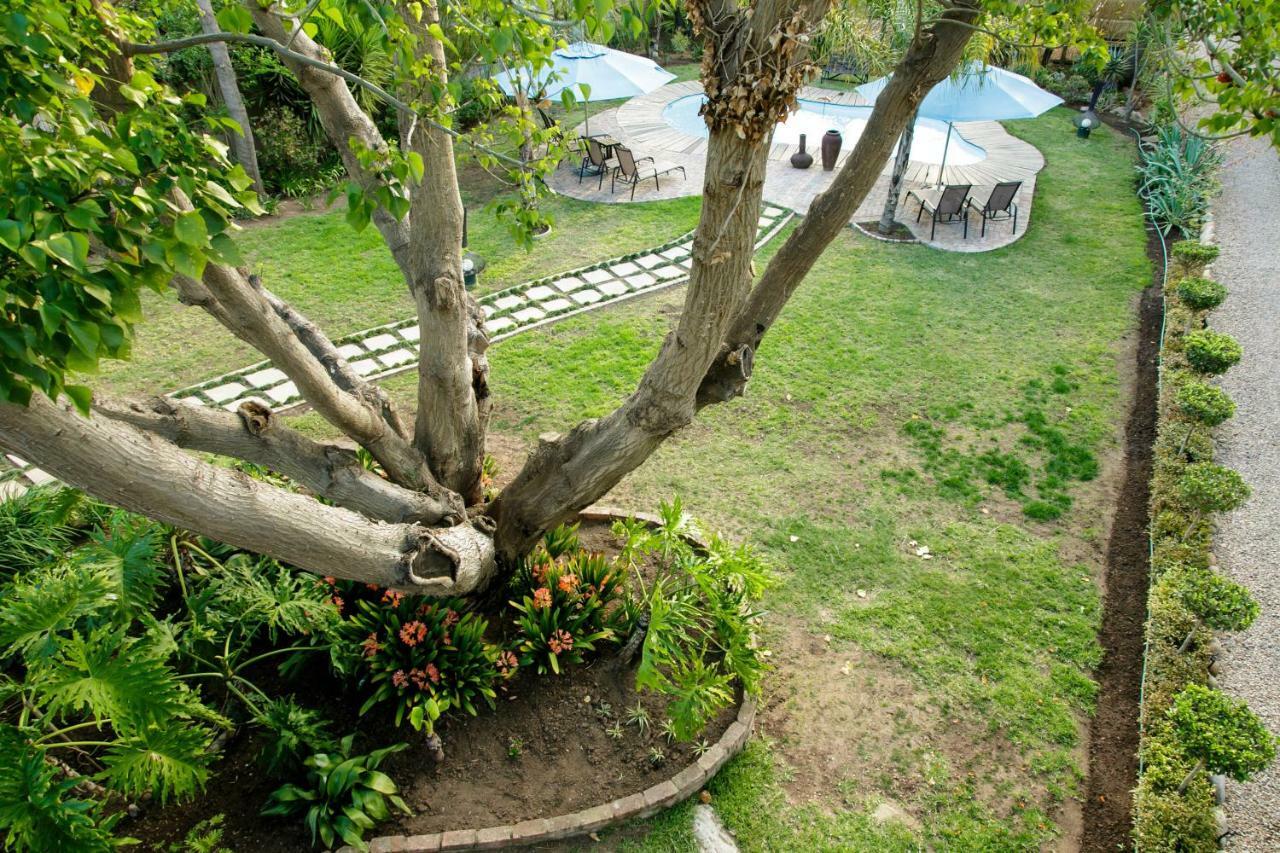 Oakdene Guest House Oudtshoorn Eksteriør bilde